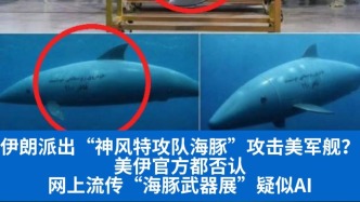 明查｜伊朗派出“神风特攻队海豚”攻击美军舰？美伊官方都否认，网上流传“海豚武器展”疑似AI
