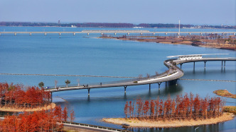 长三角空气质量持续改善，“联防联控”如何精准发力？