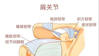 肩周炎的 5 個(gè)康復(fù)階段和 6 個(gè)緩解動(dòng)作