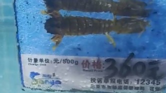 “4只皮皮虾1035元”被投诉店主病逝，探访门店：四星信用且标价清晰