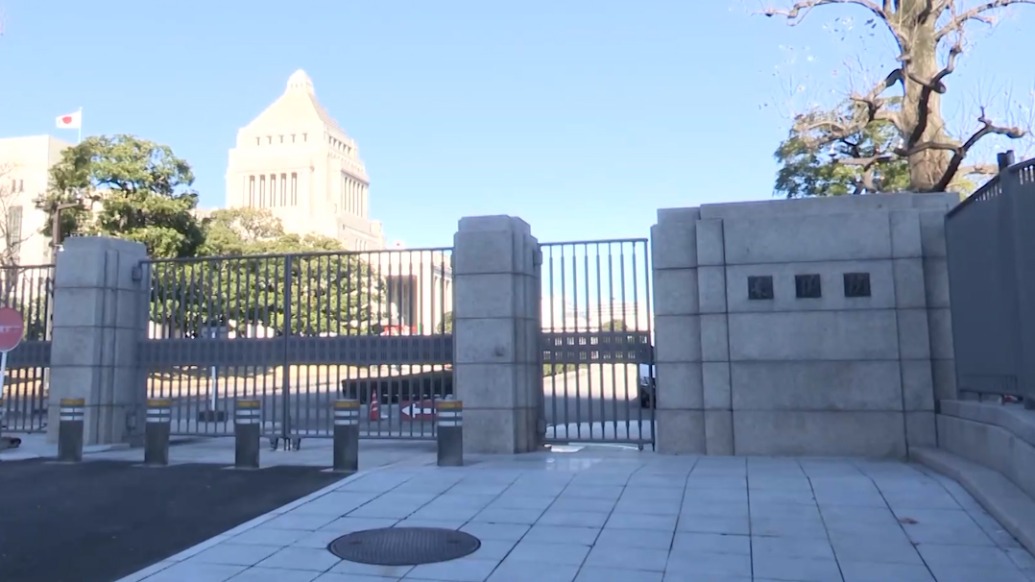 日本法律界人士：日政府修改和平宪法将加剧东亚紧张局势