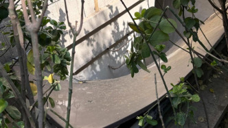 小區(qū)暗藏“吃人”豎井：天津兩男童從6米高處墜落，一人重傷開顱昏迷已10天
