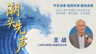 王战：扩大高水平对外开放要掌握方法论，了解开放史，开拓新格局