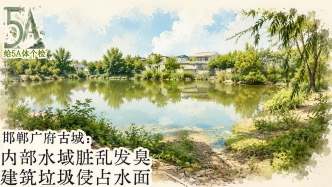 给5A景区体个检丨邯郸广府古城：水域脏乱臭，建筑垃圾侵占水面