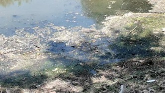 给5A体个检｜邯郸广府古城一处水域黑臭脏乱，记者探访踩出满脚黑泥