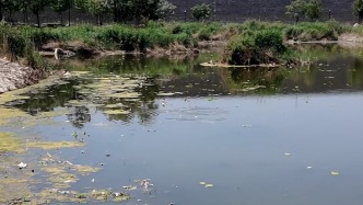 給5A體個(gè)檢｜澎湃暗訪廣府古城水域亂象，官方回應(yīng)：兩三個(gè)工作日內(nèi)完成整改
