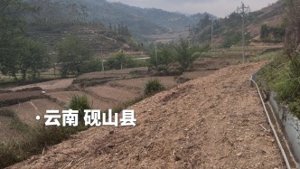 硯山縣村民抱怨：無效的溝渠“把田地整廢了”