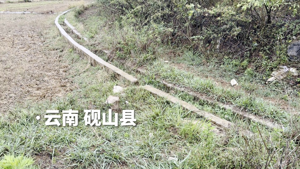 村干部苦笑称“高标准农田标准不高”:翻来覆去地修,水却通不了