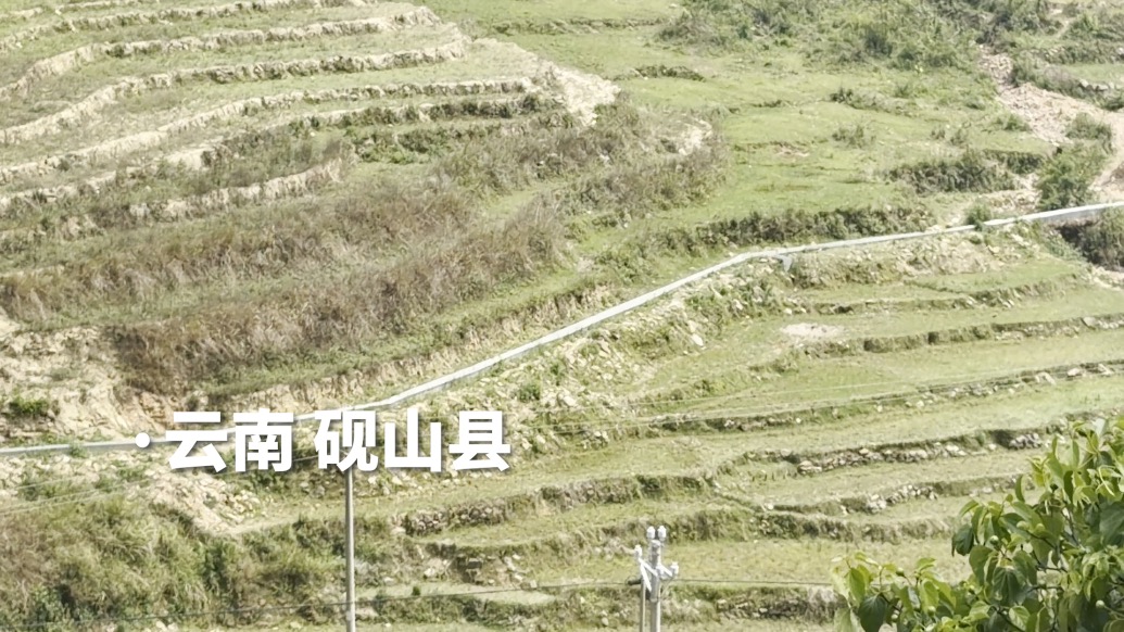 高标准农田沟渠不通水,记者调查后当地启动重整