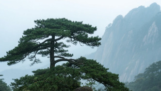 南大世界史学者陈仲丹去世，曾三度获评校“我最喜爱的老师”