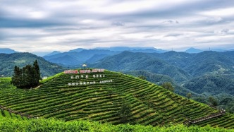 陕西文旅，各地在下一盘什么棋？