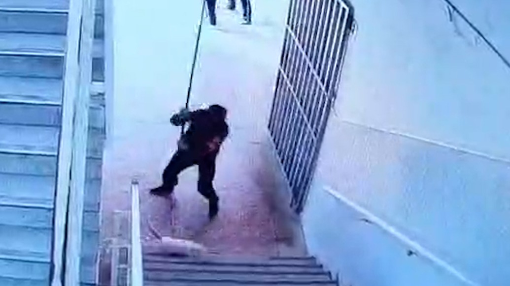 湖南汉寿一中通报安保人员打死流浪猫：2人调离岗位