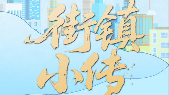 H5丨街镇小传·闵行区华漕篇