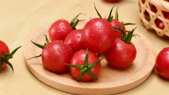 網(wǎng)傳“圣女果是轉(zhuǎn)基因食品，不能吃”是制造恐慌的謠言