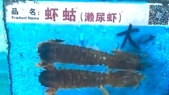“1035元4只皮皮虾”事件顾客称被网暴，搭载顾客“的哥”已被开除