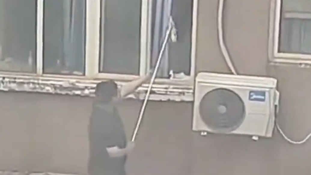 男生被指隔窗盗取女生衣物，新乡学院：给予该生留校察看处分