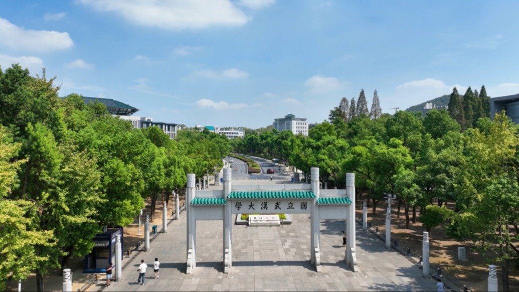 配图
