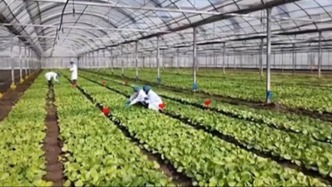 我國首款RNA農藥獲批登記填補行業(yè)空白