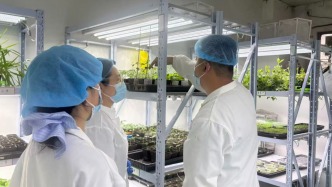 实现“零的突破”！上海RNA农药研发成果，给绿色农业带来哪些新可能？