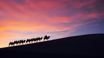 《联合国防治荒漠化公约》“丝路之旅”将穿越中国，聚焦草原与牧民