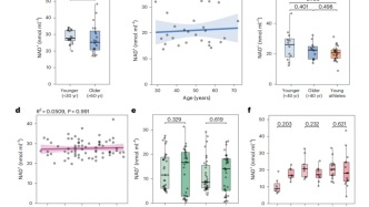 Nature Metabolism：人类血液中NAD+水平不会因年龄和生活方式干预而改变