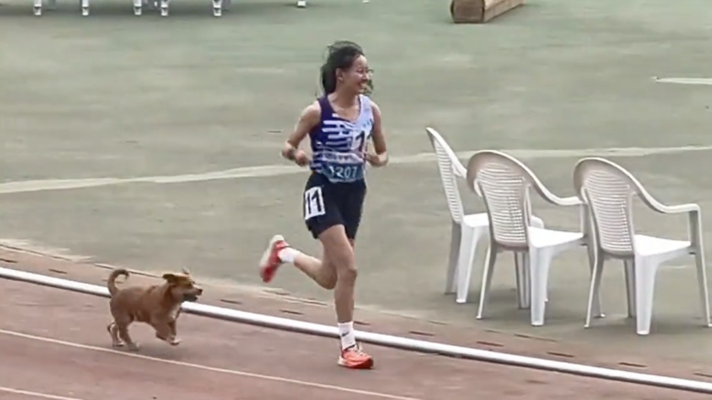 最萌“配速员”出现了！校运会上一小狗冲出陪跑，女生一举夺冠打破校记录