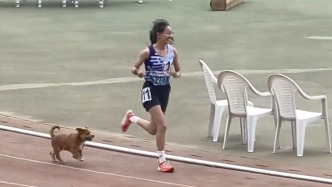 最萌“配速员”出现了！校运会上一小狗冲出陪跑，女生一举夺冠打破校记录