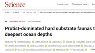 Science：万米深渊惊现“原生生物花园”！中国“奋斗者”号揭开海洋最深处生命的繁盛生长