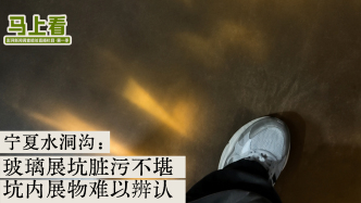 马上看丨宁夏水洞沟：玻璃展坑脏污不堪，坑内展物难以辨认