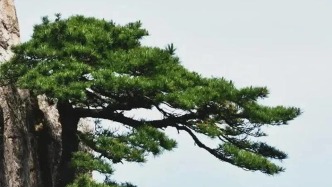 中山大學(xué)歷史系教授吳機鵬逝世