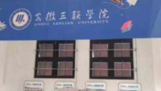 學生抄襲他人成果參加二級學院漫展，被記過處分并延緩畢業(yè)