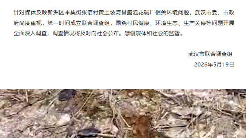 官方通报“媒体报道武汉村庄藏非法化工厂，62人先后患绝症”：第一时间成立联合调查组，深入调查