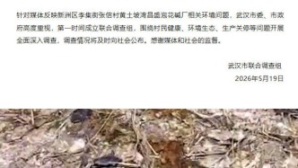 官方通报“媒体报道武汉村庄藏非法化工厂，62人先后患绝症”：第一时间成立联合调查组，深入调查