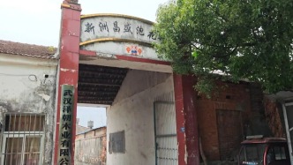 武汉通报“昌盛泡花碱厂环境问题”：成立联合调查组，围绕村民健康等问题全面深入调查
