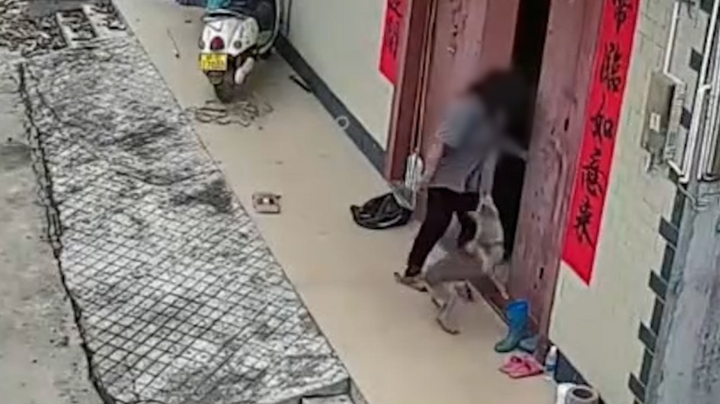 恶犬入村攻击村民有人受伤,警方:狗已被打死,仍在调查