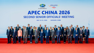 中东局势动荡中，APEC会议成为“想法实验室”