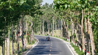 網(wǎng)友建議農(nóng)村公路改造應(yīng)保留土路肩，交通部：加強規(guī)范建設(shè)管理