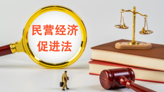 两部门联合发布贯彻实施民营经济促进法典型案例