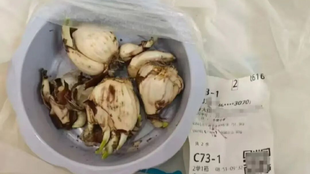 误将水仙当百合配送致顾客中毒送医,涉事盒马门店被罚款198元没收违法所得19.8元