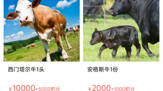 “云农场”项目年化收益45%？4人专门诈骗老年群体被刑拘