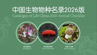 中国生物物种“家底”又厚了！2026版名录新增6154个