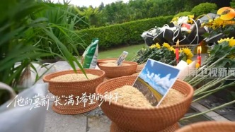袁隆平逝世五周年：湖南農(nóng)科院前往墓園祭奠，墓前擺滿“希望的種子”