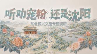 听劝宠粉 还是沈阳