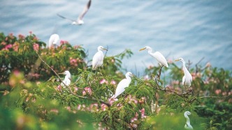 我国生物多样性保护21项目标取得阶段性重大进展