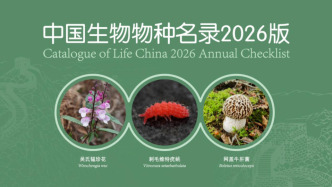 《中國生物物種名錄2026版》新增3380個動物界物種