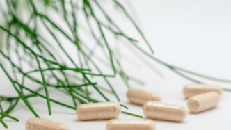 网红推荐的NAD+\NMN在动物中显示抗衰，但人毕竟不是动物