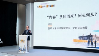 復(fù)旦大學(xué)經(jīng)濟學(xué)院院長張軍：內(nèi)卷，從1到N的中國路徑