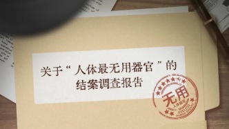 这个一无是处的“废物”器官，默默保护了人类千百万年。