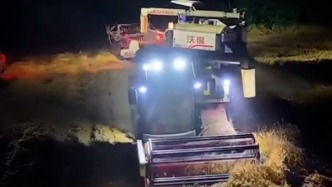 暴雨襲來(lái)麥?zhǔn)彰Γ倍嗟亍坝昕趭Z糧”晝夜搶收小麥
