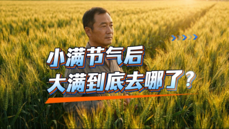 小滿：古人為什么不叫它“大滿”？背后有大智慧
